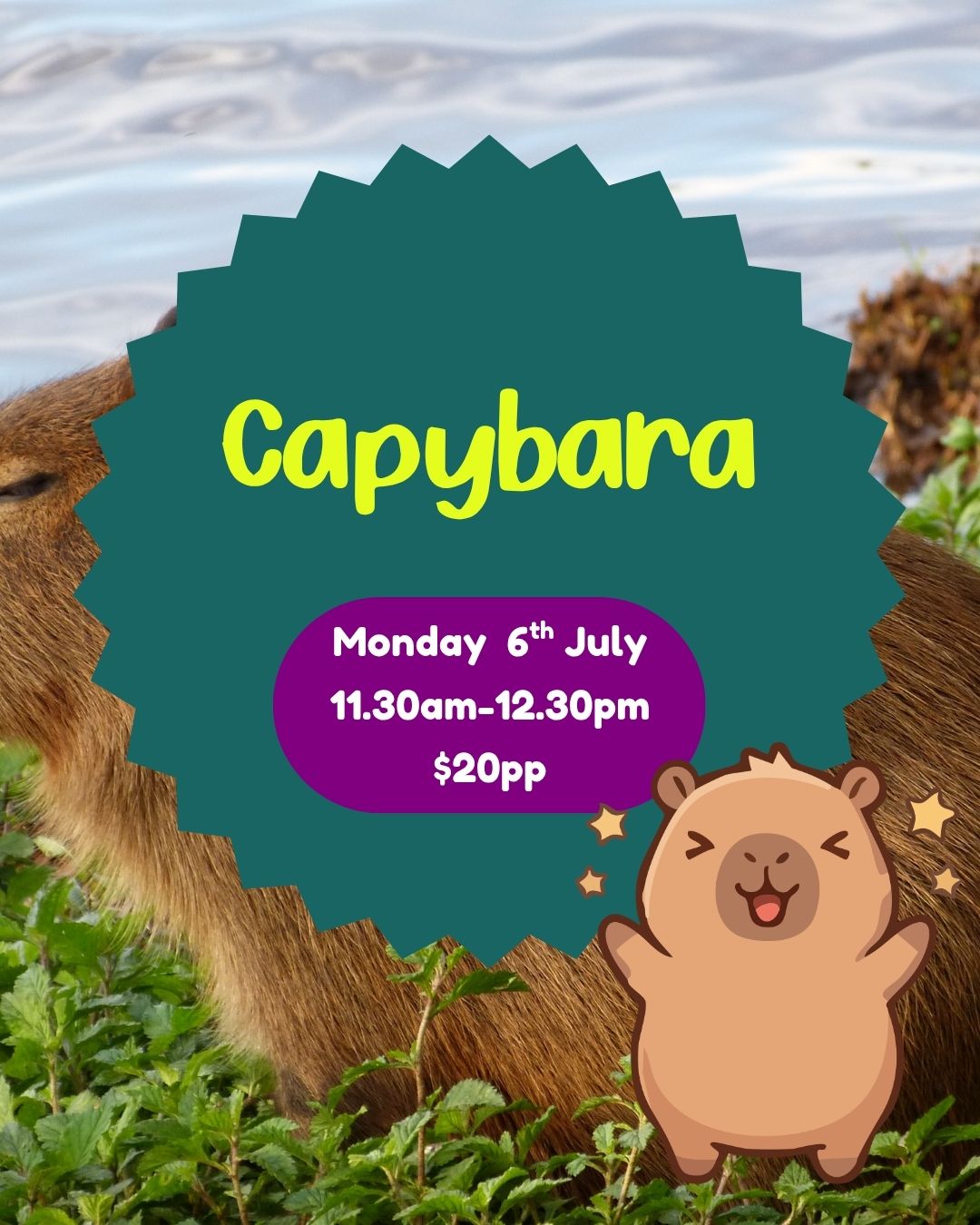 Monday 6th July| Capybara| 11.30am-12.30pm