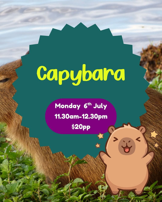 Monday 6th July| Capybara| 11.30am-12.30pm